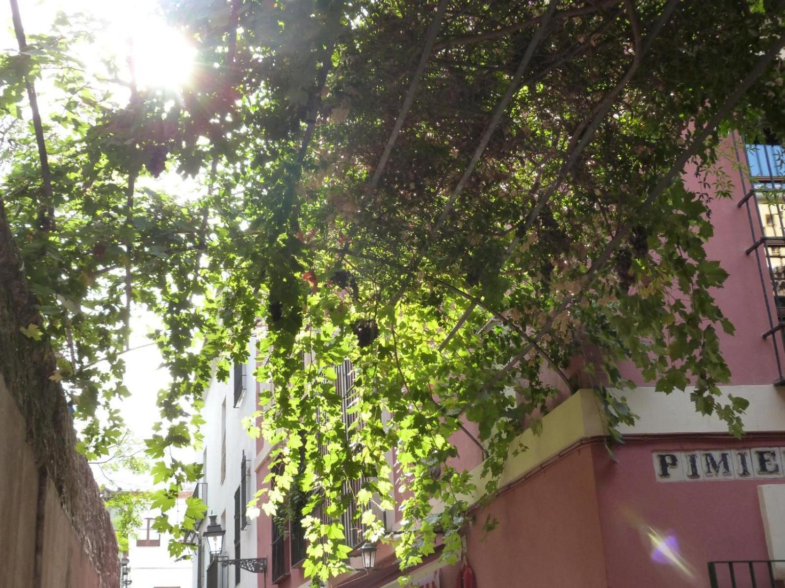 Aires De Santa Cruz